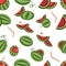 Watermelon pattern of watermelon slices cut watermelons with pips with cocktail straws with cocktail umbrellas vector