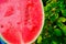 Watermelon pulp close-up.Watermelon in a cut in male hands in a summer garden.Fresh ripe red watermelon half. summer