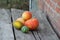 Watermelon, pumpkin and melon on a wooden table