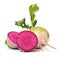 Watermelon radish