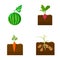 Watermelon, radish, carrots, potatoes. Plant set collection icons in cartoon style vector symbol stock illustration web.