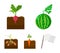 Watermelon, radish, carrots, potatoes. Plant set collection icons in cartoon style vector symbol stock illustration web.