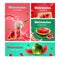 Watermelon Realistic Banners Set