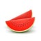 Watermelon realistic sliced fruit, vector