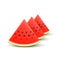 Watermelon realistic sliced fruit, vector