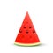 Watermelon realistic sliced fruit, vector