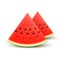 Watermelon realistic sliced fruit, vector