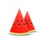 Watermelon realistic sliced fruit, vector