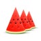 Watermelon realistic sliced fruit, vector