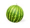 Watermelon realistic vector illustration.