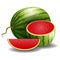 Watermelon ripe juicy illustration