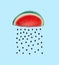 Watermelon and seeds rain concept