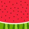 Watermelon slice background with seed and skin texture