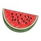 Watermelon sliced fruit scribble