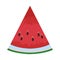 Watermelon slide icon