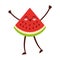 Watermelon tropical and exotic fruit kawaii character