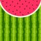 Watermelon vector background