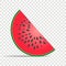 Watermelon vector color illustration. Slice watermelon vector fl