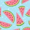 Watermelon vector colorful seamless pattern on blu