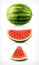 Watermelon, vector icons