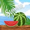 Watermelon whole, a Flat ripe juicy slice piece and seeds isolated. National Watermelon Day - vector summer illustration