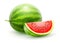 Watermelon. Whole fresh ripe sweet fruit. Illustration.