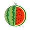 Watermelon whole ripe green stem icon. Slice cut half seeds. Green Red round fruit berry flesh peel. Natural healthy food. Sweet w