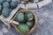 Watermelons in a basket and on a cart