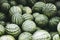 Watermelons on a market stall