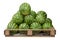 Watermelons on a pallet on the market at a street store or warehouse, isolated on a white background