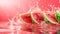 Watermelons Splashing in Water Against a Light Red Backdrop. Juicy Delight. Watermelons Background