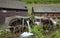 Watermill, black forest, schwarzwald, germany