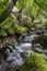 Watermill near Seatoller, Keswick, Lakes District, England