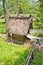 Watermill with thatched roof in Ogimachi gassho style village, J