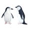 Waterocolor hand drawn illustration with arctic pole penguins on ice. Antarctina marine sea ocean anmals migration birds