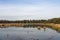 Waterplas in Het Gooi, Lake in Het Gooi