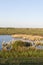 Waterplas op Schiermonnikoog, Lake at Schiermonnikoog