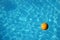 Waterpolo ball in pool (2)