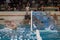 Waterpolo player - defending action