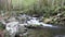 Waters Of Roaring Fork Motor Trail In The Smoky Mountains