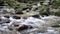 Waters Of Roaring Fork Motor Trail In The Smoky Mountains