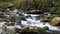 Waters Of Roaring Fork Motor Trail In The Smoky Mountains