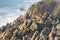 The waterscape with ocean and the rocks