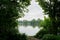 Waterside creepers and trees in cloudy raining summer morning