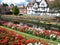 Waterside flowers and grass overlooking the river that runs through the town