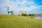 Waterside grassy hill in sunny winter afternoon