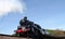 Waterside Park, Torbay, South Devon, England: The steam train, Braveheart, heads for Kingswear