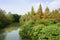 Waterside trees and shrubs in sunny sky