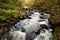 Watersmeet in Devon