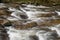 Watersmeet in Exmoor national park